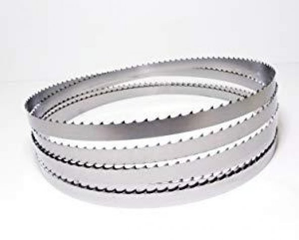 1650 ET KEMİK ŞERİT TESTERESİ 16X0,50X1650 4 TPI - 2