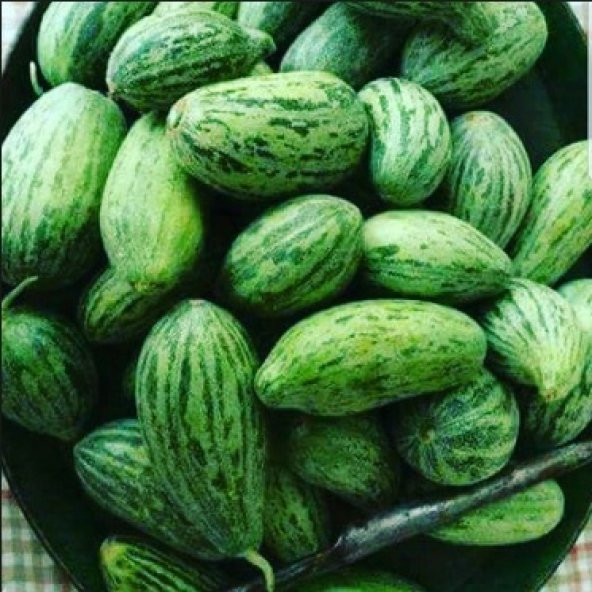 Yeşil Acur Tohumu 100+ Tohum Hita Acur Tohumu - 1