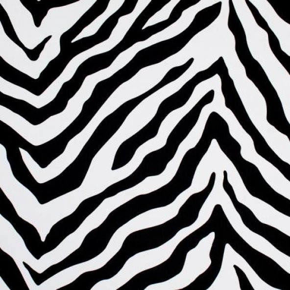 Piya More 2201 Siyah Beyaz Zebra Desenli Duvar Kağıdı