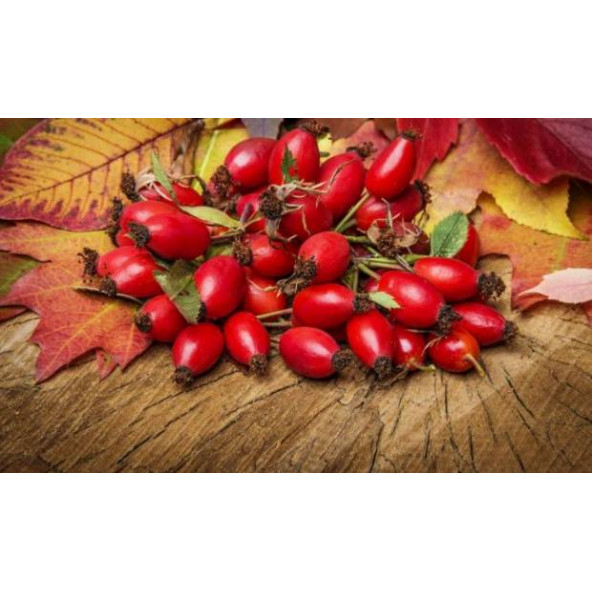 Kuşburnu marmelatı-(1 KG)