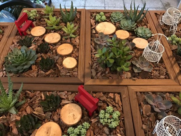 Dekoratif Ahşap Saksı - 3