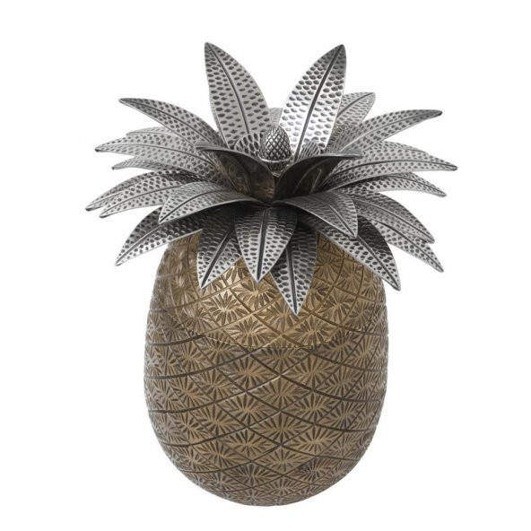Ananas Kutu