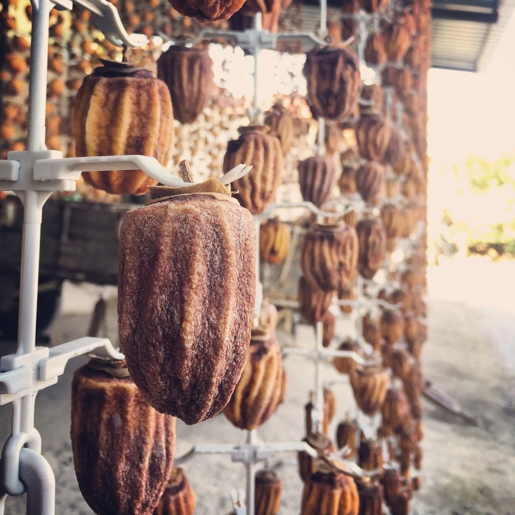 Trabzon Hurması Kurusu | Cennet Elması (Yeni Mahsül) 1 KG - 5