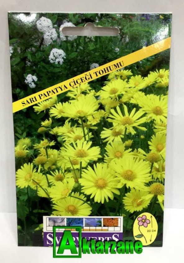 Sarı Papatya Çiçeği Tohumu Paket