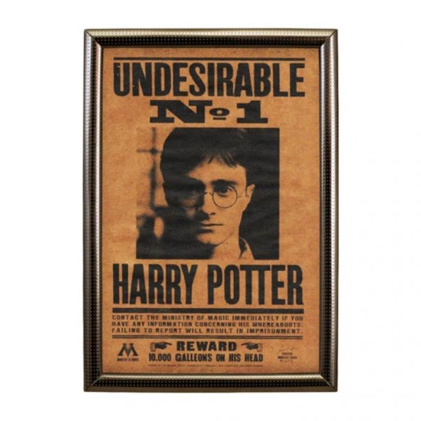 Harry Potter Aranıyor Kraft Cam Çerçeveli Poster