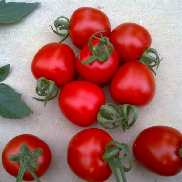 Arılı Oval Kokteyl Domates (Verti)1 Kg