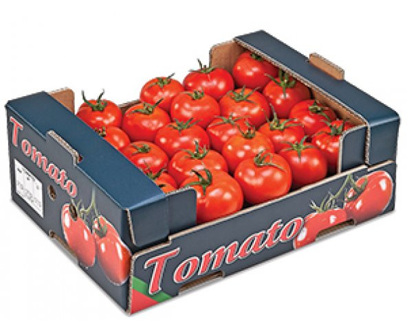 Arılı Oval Kokteyl Domates (Verti)1 Kg - 4