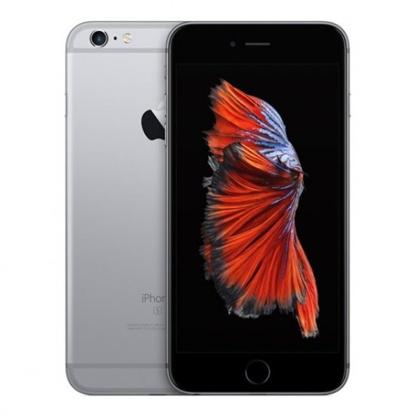 Apple iPhone 6S Plus 32 GB Uzay Grisi (2 YIL Apple Türkiye Garantili)