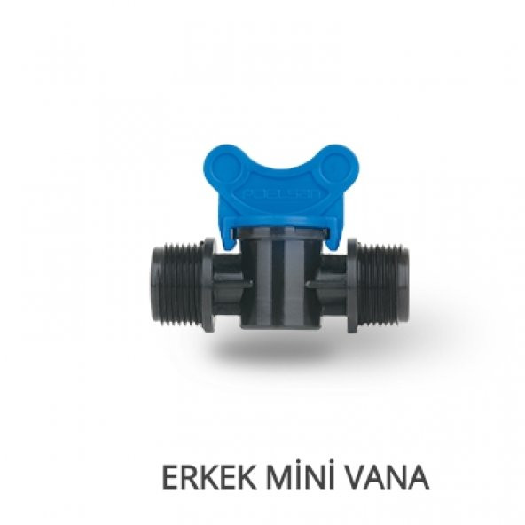 Mini Vana Erkek