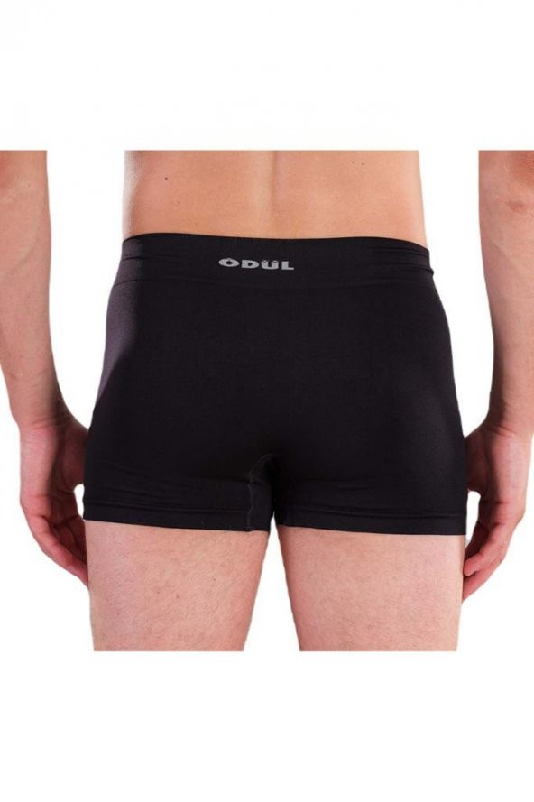 ÖDÜL 2074 ERKEK BOXER SİYAH - 2