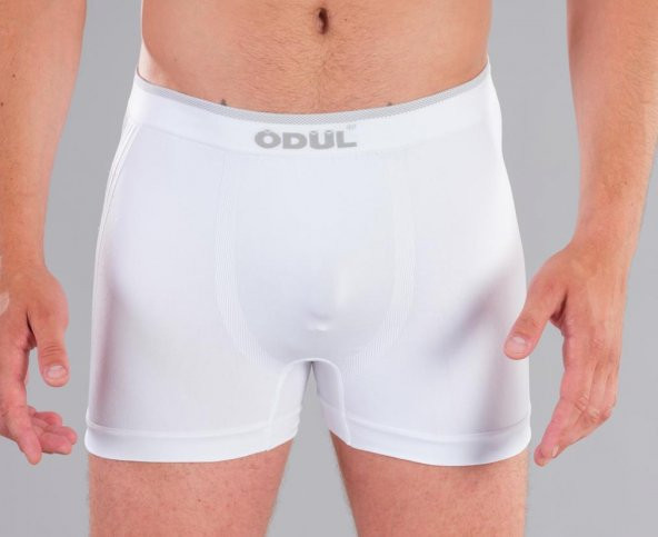 ÖDÜL 2009 ERKEK BOXER BEYAZ - 2