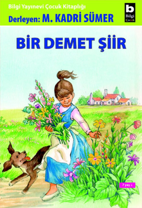 Bir Demet Şiir - Mehmet Kadri Sümer
