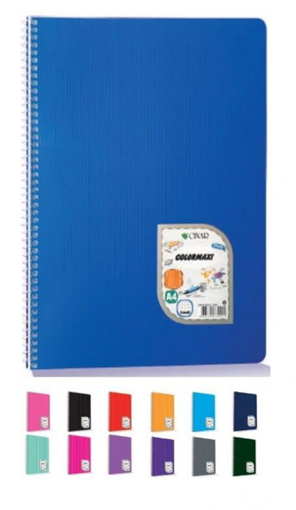 COLORMAXI PP SPIRALLI A4 96YP KARELI DEFTER - 2
