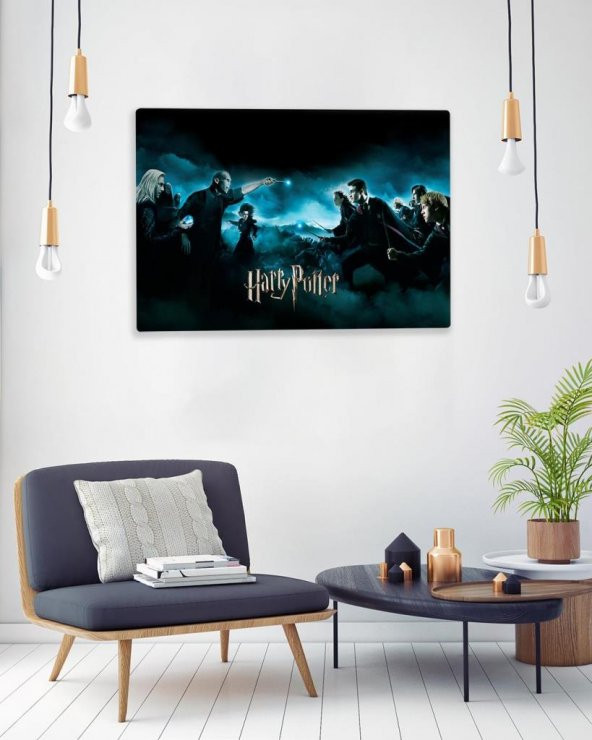 Harry Potter Fantastik Canavarlar 75x50cm Dev Kanvas Tablo No:1445