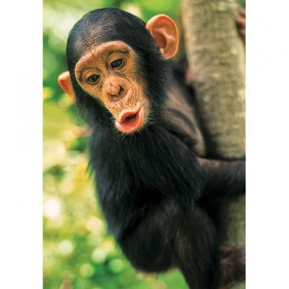 Ks Games Animal Planet 100 Parça Baby Chimp