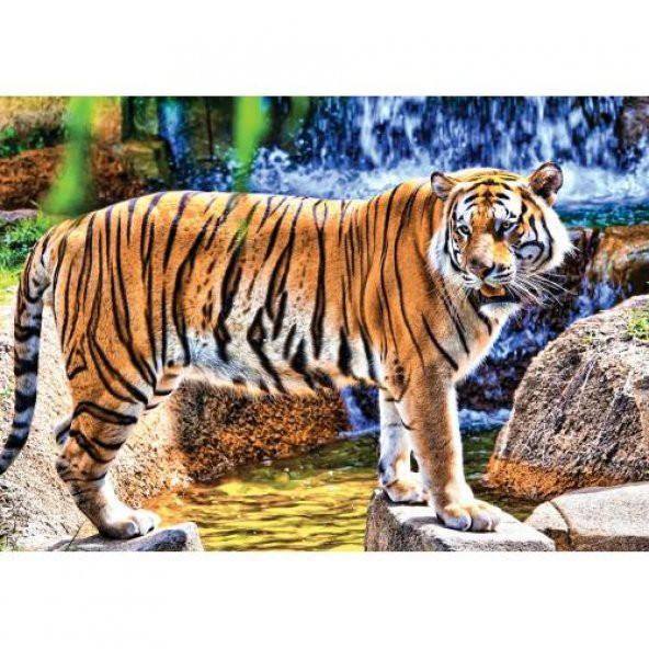 Ks Games Animal Planet 100 Parça Amazing Tiger