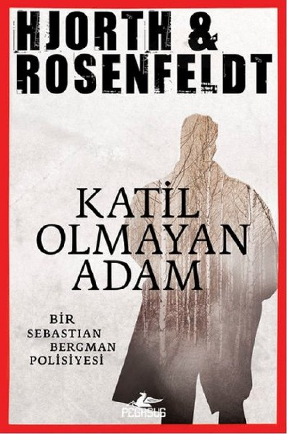 Katil Olmayan Adam Bir Sebastian Bergman Polisiyesi