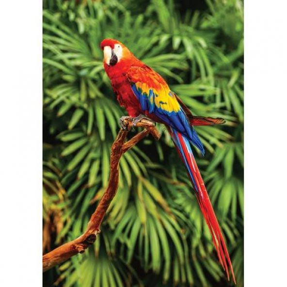 Ks Games Animal Planet 100 Parça Scarlet Macaw - Papağan