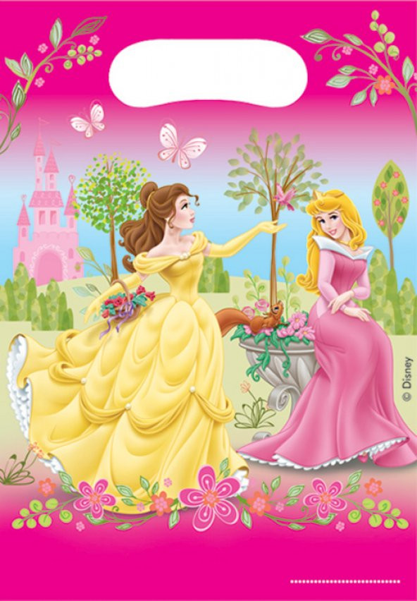 PRİNCESS PARTİ ÇANTASI 6LI - 1