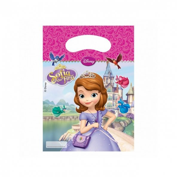 SOFİA PARTİ ÇANTASI 6LI ürün görseli 1