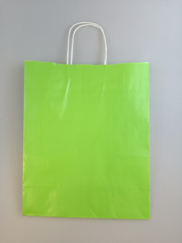 KRAFT KAĞIT ÇANTA YEŞİL 25CM X 30CM - 1 ADET - 2