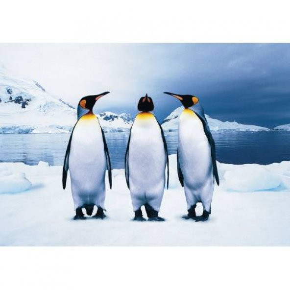 Animal Planet 100 Parça Penguins - Penguenler