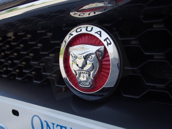 Jaguar Ön Panjur Izgara Panter 3M 3D Logo - Resim 3