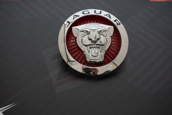 Jaguar Ön Panjur Izgara Panter 3M 3D Logo - Resim 4