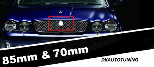 Jaguar Ön Panjur Izgara Panter 3M 3D Logo - Resim 7