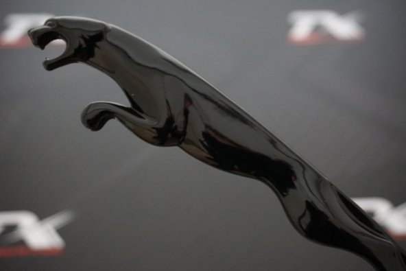 Jaguar Panter Bagaj 3M 3D Metal Logo Amblem - Resim 2