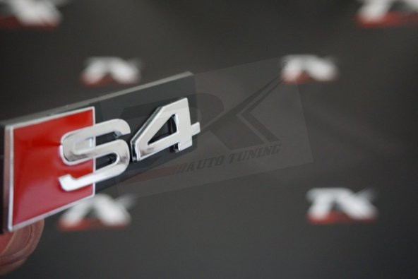 Audi S4 Ön Panjur Izgara 3M 3D Logo