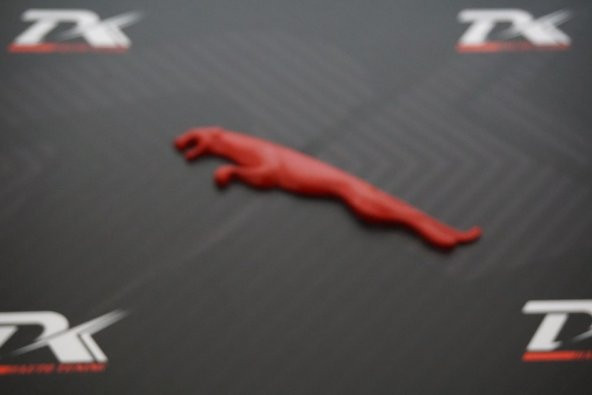 Jaguar Panter Bagaj 3M 3D Metal Logo Amblem - Resim 7