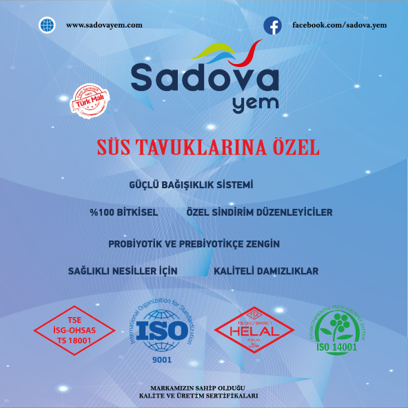 5 KG 101 SADOVA SÜS CİVCİV YEMİ (BAŞLANGIÇ) - 3