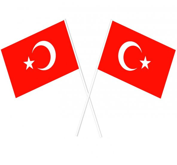 50li Türk Bayrağı Baskılı Çubuklu Bayrak