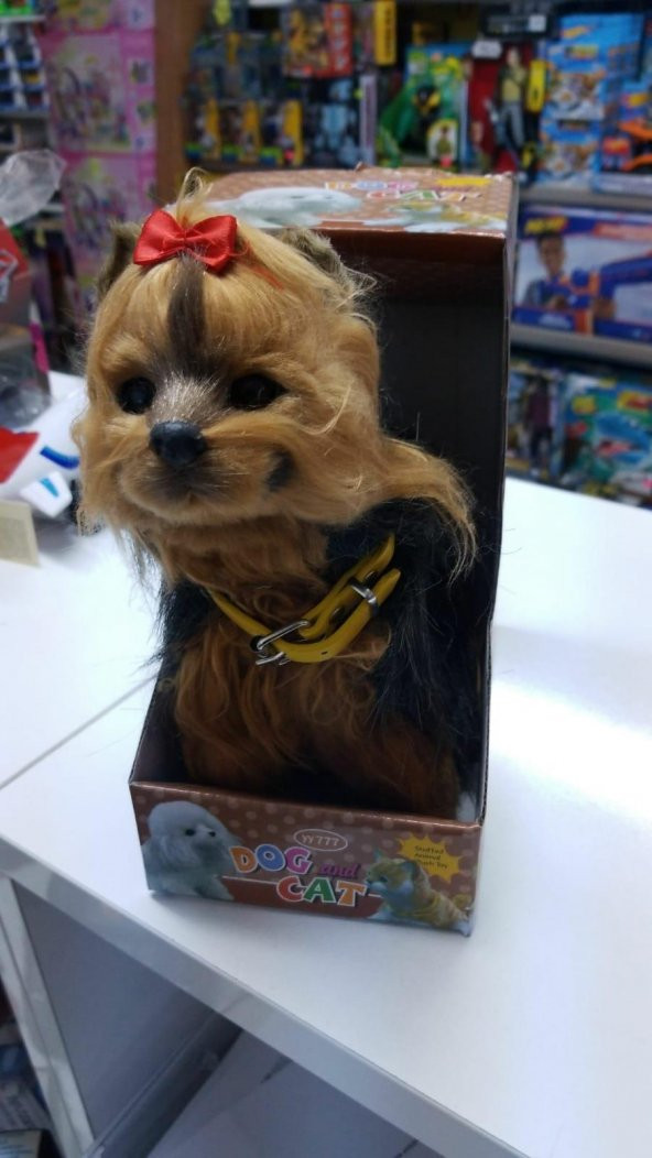 Peluş 25 cm Pilli Sesli  Hareketli Süs Köpeği Pelüş - 4