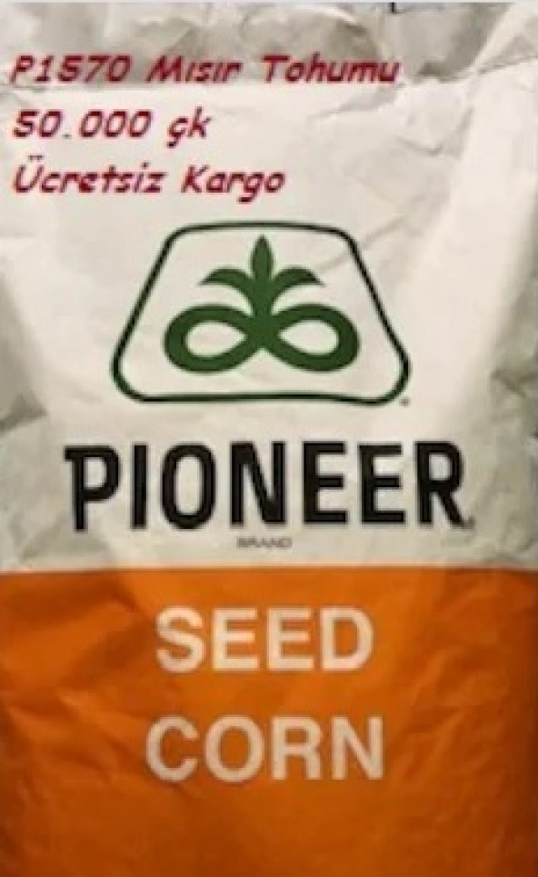 Pioneer P1570 Mısır Tohumu 50.000 çk (Standart)(Ücretsiz Kargo) Yüksek Verim-İri Dane-FAO değeri 600-5,5 da eker