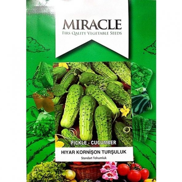 Miracle Tohum Kornişon Hıyar Tohumu (5 gram)