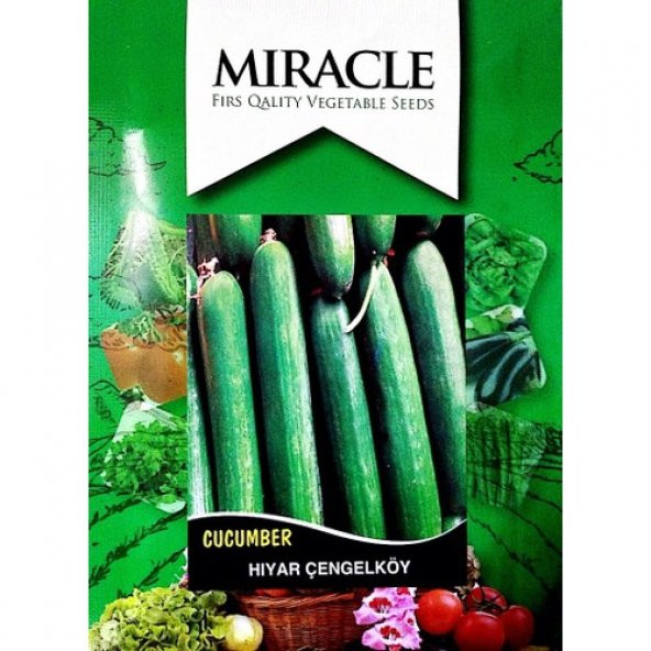 Miracle Tohum Çıtır Çengelköy Hıyar Tohumu (10 gram)