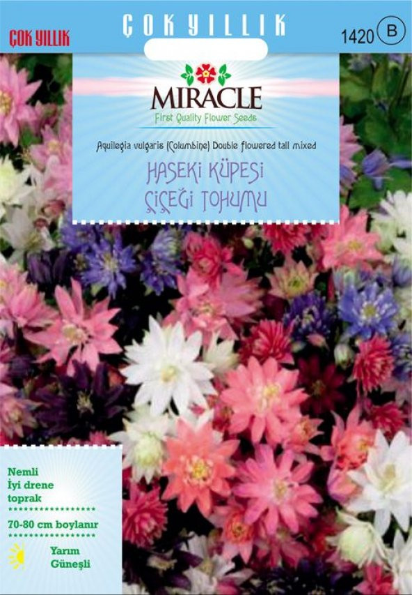 Miracle Karışık Renkli Katmerli Haseki Küpesi Çiçeği Tohumu(400 tohum)