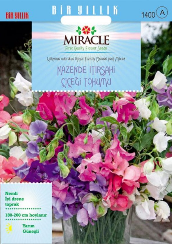 Miracle Karışık Renkli Nazende Itırşahi Çiçeği Tohumu (24 tohum)