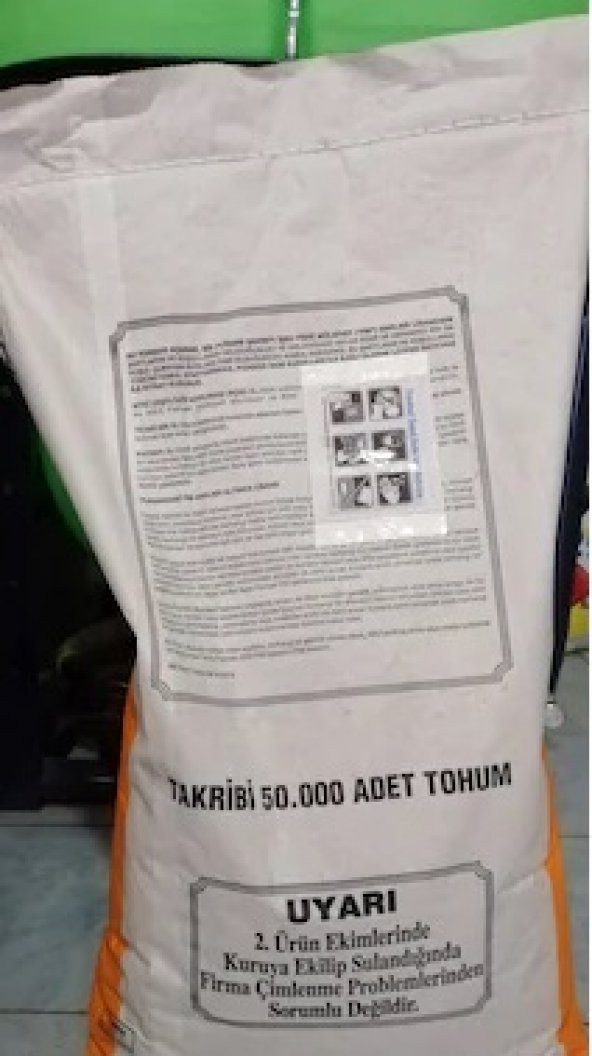 Pioneer P1429 Mısır Tohumu 50.000 çk (YARIM DOZ İLAÇLI)(Ücretsiz Kargo) Yüksek Verim-İri Dane-FAO değeri 600-5,5 da eker Pioneer P1429 Mısır Tohumu