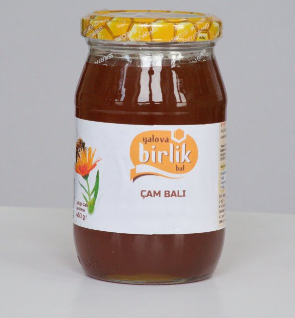 ÇAM BALI (450 gr) - Yalova Posta Pazarı - Bal