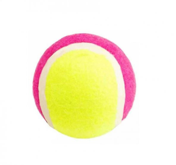 Lion Tenis Topu Köpek Oyuncağı 4.3 Cm