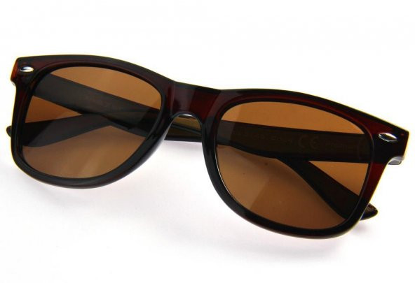 Daniel Klein Polarize Erkek Güneş Gözlüğü Wayfarer Model Kare Tasarım - 6