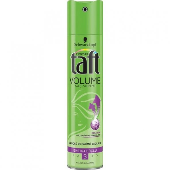 Taft Volume Saç Spreyi 250 ml