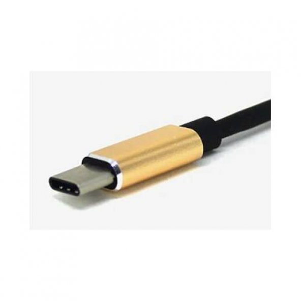 TYPE-C KULAKLIK ŞARJ KİTİ AYNI ANDA KULLANIM SETİ - 3