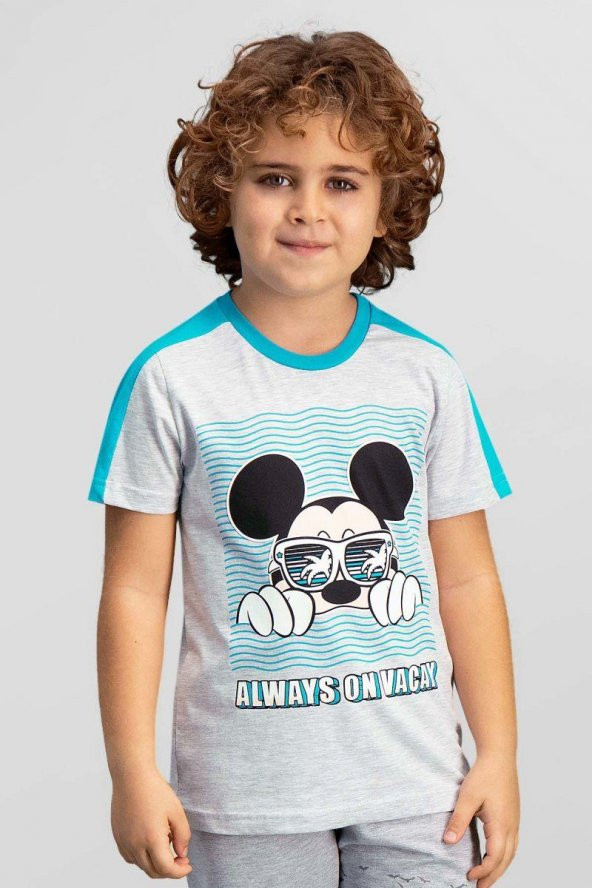 Mickey & Minnie Mouse Lisanslı Açık Gri Erkek Çocuk T-Shirt TD-110-C-V3