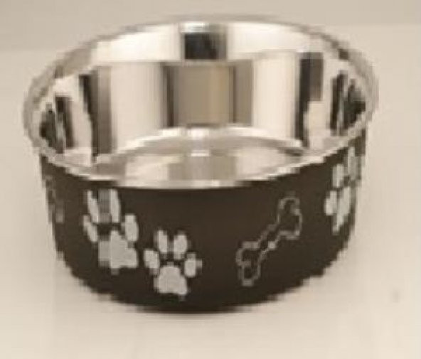 Kaydırmaz Tabanlı Desenli Mama-Su Kabı 21 Cm - 2