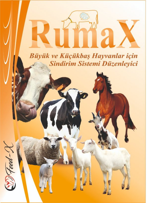 RUMAX 100 GR Büyükbaş ve Küçükbaş Hayvanlar için Sindirim Sistemi Düzenleyici Premiks