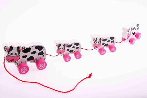 4PCS Wooden Rolling Toys